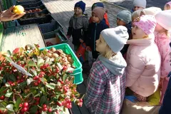 557764572_1409093201225645_1084855555524782510_n