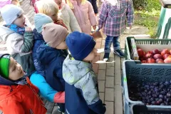 559073366_1409093131225652_3900424123015332746_n