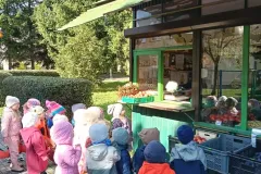 559311058_1409092201225745_9056335339934726091_n