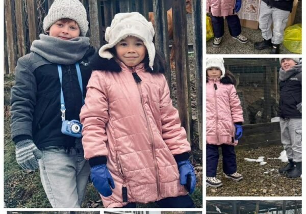 Zbiórka dla Ośrodka Rehabilitacji Dzikich Ptaków